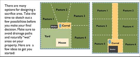 NC Horse Blog: Rotating for Better Pastures