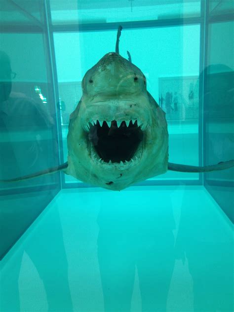 Damien Hirst Art Exhibition. shark. Damien Hirst Art, Great White Shark, Sharks, Art Exhibition ...