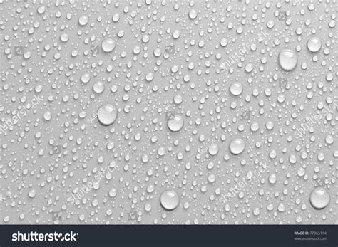 Water Drops White Background Stock Photo 77065114 - Shutterstock