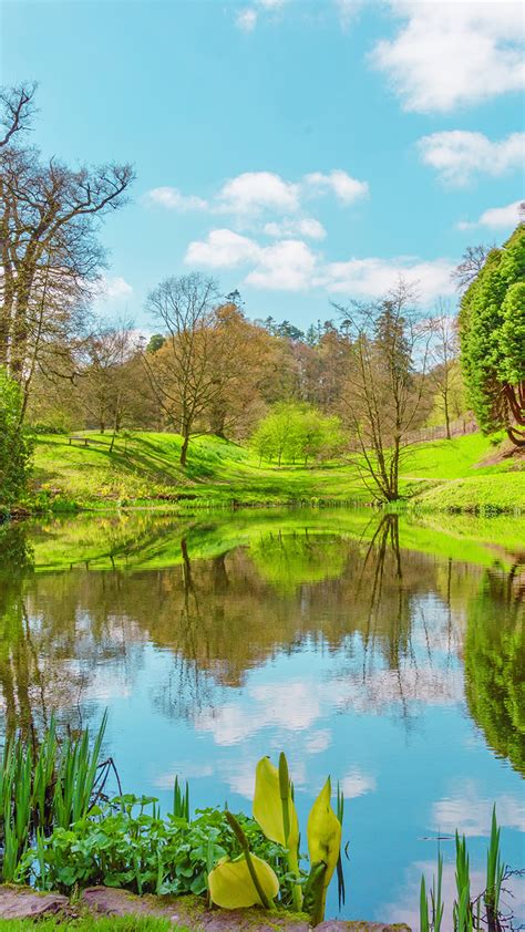 Image Nature United Kingdom Powys County Wales Spring Lake 1080x1920