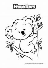 12 Koala Coloring Pages  LovingHomeschoolcom sketch template