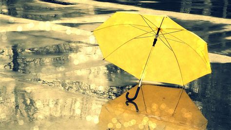 Mưa Chiều (Evening Rain) - Lâm Thúy Vân - Lyrics HD 1080p | Umbrella, Yellow umbrella, Rain ...