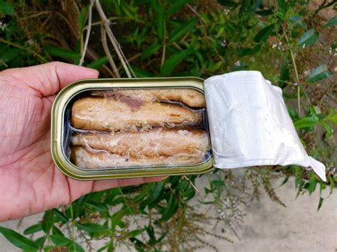 Canned Sardines In Olive Oil - Eat With Emily