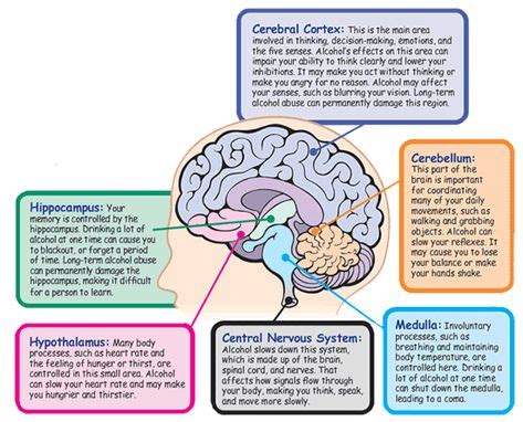 13 Triune Brain ideas | triune brain, brain, neuroscience