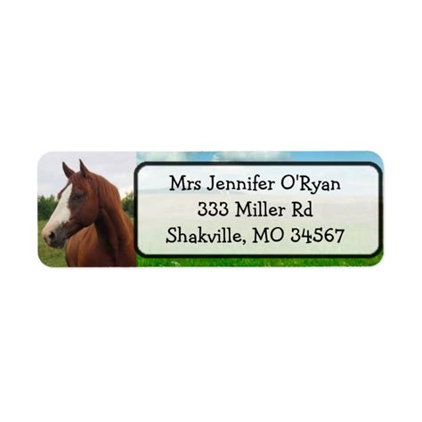 Pretty Horse Return Address Labels | Zazzle.com