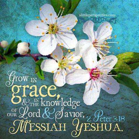 Pin by Nikkie La Grange on scriptures | Scripture pictures, Grow in grace, Scripture