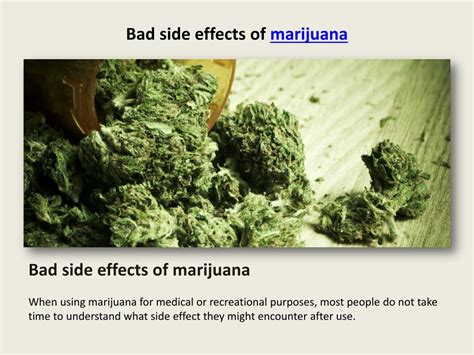 PPT - bad side effects of marijuana PowerPoint Presentation, free ...