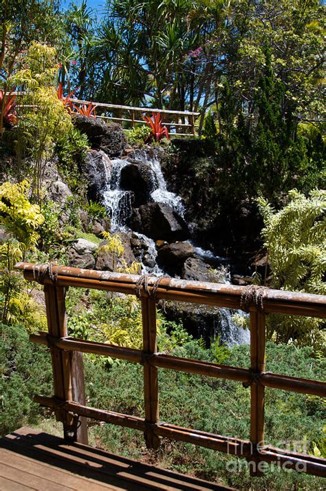 Kauai Botanical Gardens Photograph by J Bloomrosen - Fine Art America