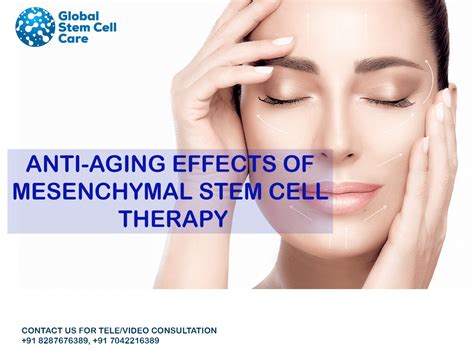 Anti-Aging Effects of Mesenchymal Stem Cell Therapy - Global Stem Cell Care