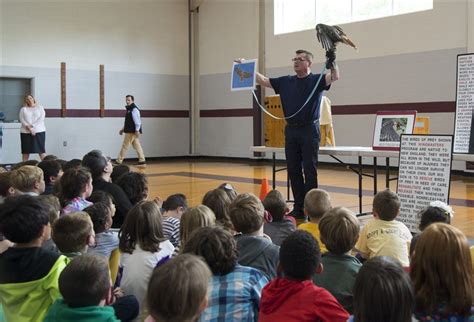 DCD Chooses a Mascot: the Hawk! - Dedham Country Day School