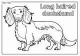 Dachshund Coloring Pages Free Printable PDFs  WakeTheKids sketch template