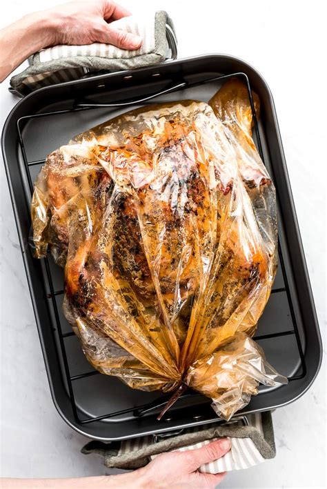 Download Best Turkey Recipe Oven Bag Pictures - Backpacker News