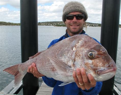 Coffin Bay Fishing Alive and well - Australian Coastal Safaris