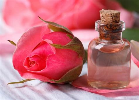 Rose Oil - Healing benefits - Healthyliving from Nature - Buy Online