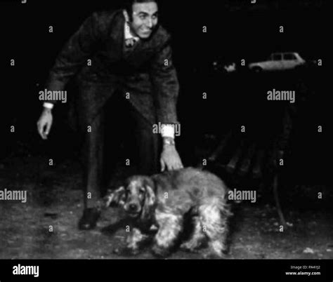 Pippo baudo Black and White Stock Photos & Images - Alamy