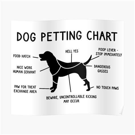 Dog Petting Chart | ubicaciondepersonas.cdmx.gob.mx