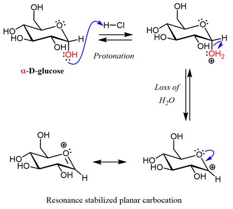 Glycosides - Chemistry Steps