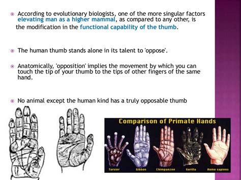 Ape thumb deformity to publish