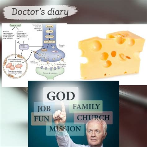 15. Cheese reaction - Doctor's Diary