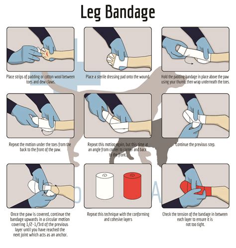 How Do You Bandage A Dog