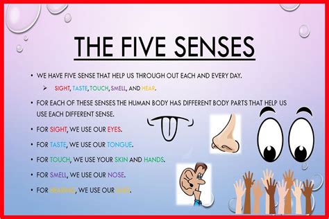 Five sense organs and their functions - Digital Marketer - Medium