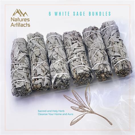 6 Pack - Premium California White Sage Smudge Incense Sticks, 4-5 ...