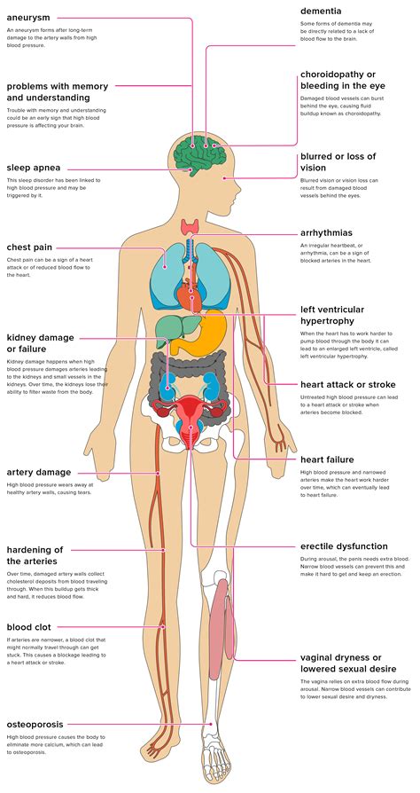 The Effects of Hypertension on the Body