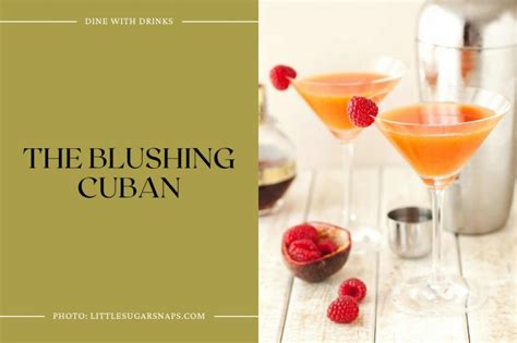 28 Cuban Rum Cocktails That Will Transport You to Havana! | DineWithDrinks