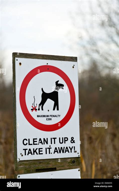 Dog fouling penalty notice Stock Photo - Alamy