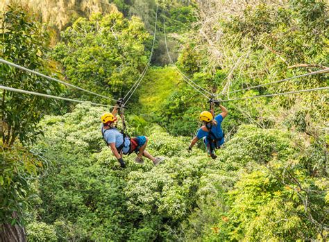 Kohala Zipline | Go Hawaii