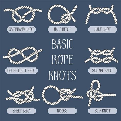 Nautical rope knots — Stock Vector © Kreativ #41419107