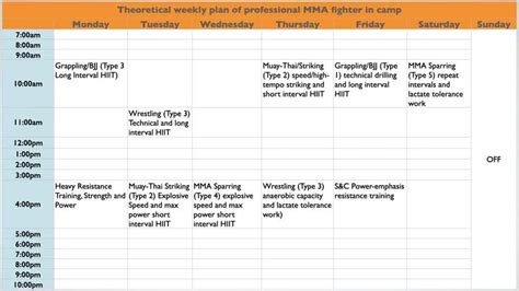 How to Organize and Develop an Effective Training Plan for an MMA Fighter