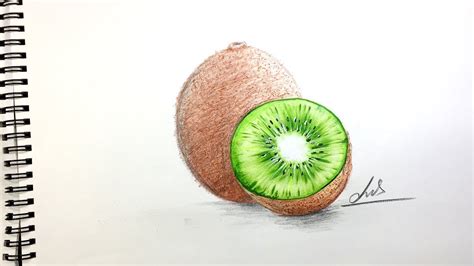 How To Draw A Kiwi Fruit We have two kiwis in this video