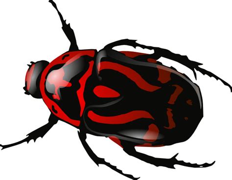 Srd Green Beetle 2 Clip Art at Clker.com - vector clip art online, royalty free & public domain