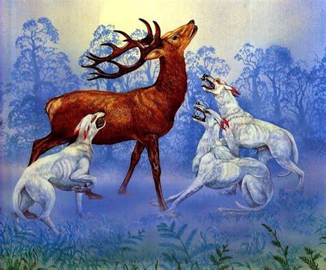 Celtic fairy hounds - the Cwn Annwn (© Roger Garland) In Welsh mythology and folklore, Cŵn Annwn ...