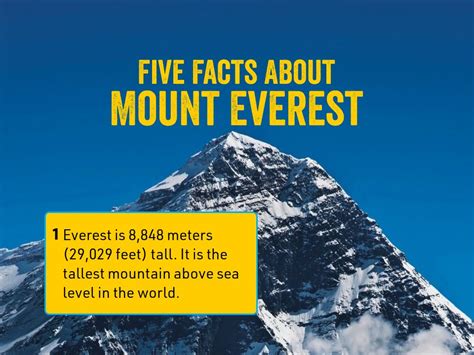 Five Facts About Mount Everest - Expedition Everest - Pioneer November ...