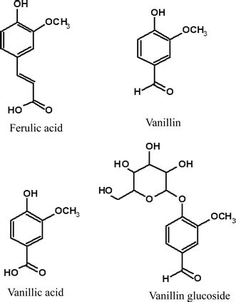 Vanillin production by biotransformation of phenolic compounds in fungus, Aspergillus luchuensis ...