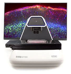 EVOS M7000 Imaging System (P1TFS1000039-1)｜サイサチ機器カタログ