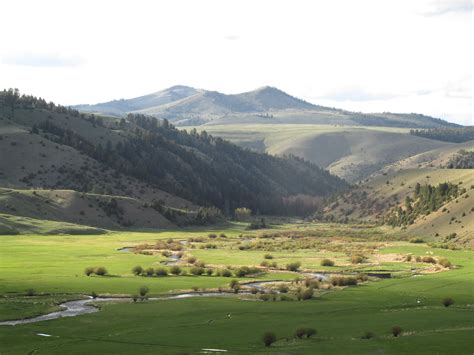 Our beautiful cattle ranch in Montana Montana Ranch, Cattle Ranching ...