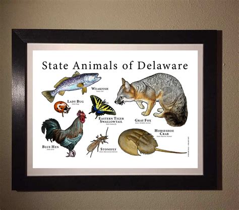 Delaware State Animals Poster Print | Etsy