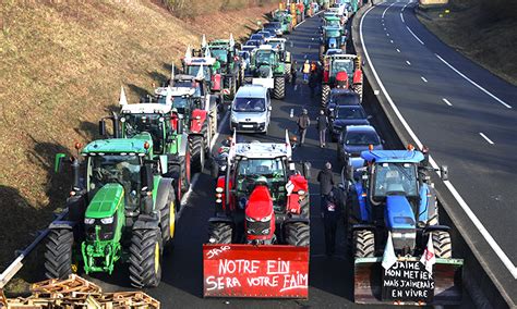 Protesting farmers have France’s government in a bind - GulfToday