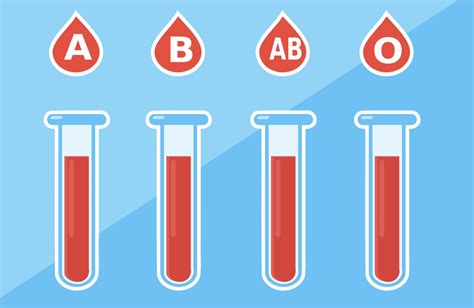 Guide To The Different Blood Types