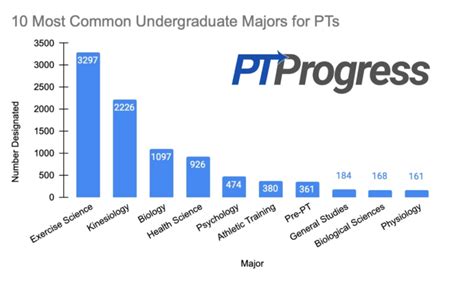 What is the Best Undergraduate Major for Physical Therapy?