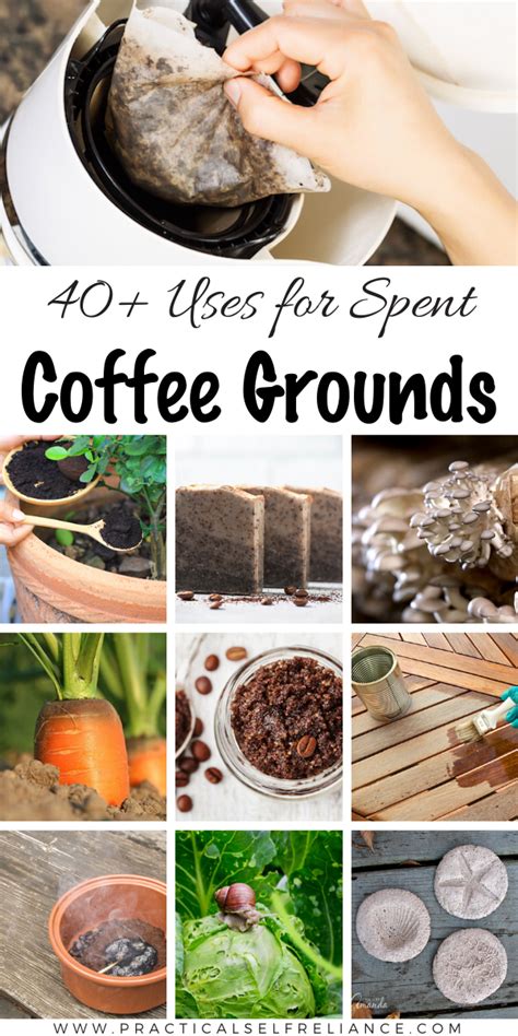 40+ Practical Uses for Spent Coffee Grounds