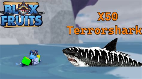 Blox Fruits - Tổng Hợp Đánh 50 Raid Boss Cá Mập Terrorshark | Roblox - YouTube