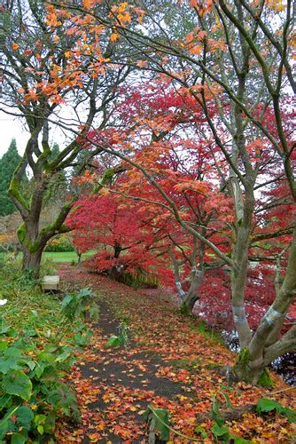 VanDusen Botanical Garden for Fall » Vancouver Blog Miss604