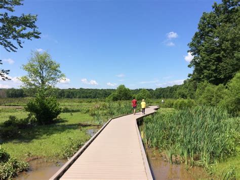 Huntley Meadows Park Wetlands and Boardwalk Trail in Northern VA