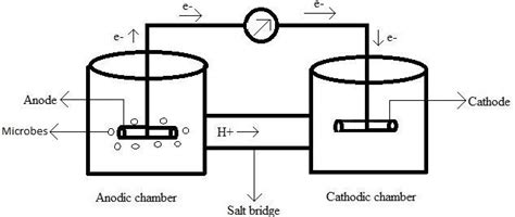 Schematic diagram of microbial fuel cell. | Download Scientific Diagram