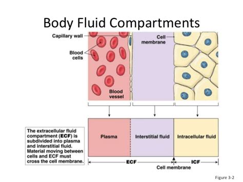 The importance of the duration of a Hemodialysis Session