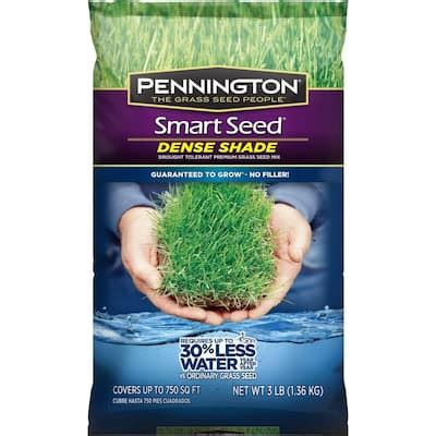 Pennington Smart Seed 3 lb. Dense Shade Grass Seed-100086851 - The Home Depot